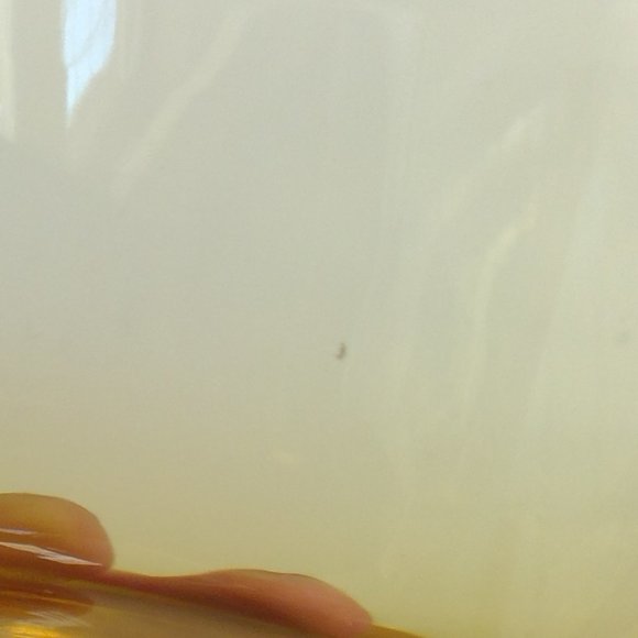 Set of 4 Vintage Cocktail/ Old Fashioned / On the rocks Amber Flared Rim Glasses - Picture 5 of 8